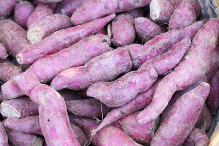 Fresh yam in the market for cookingの写真素材