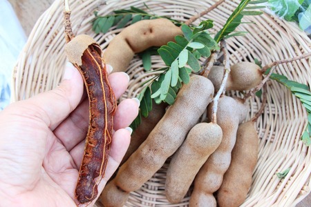 Tamarind fruit is delicious with the natureの写真素材