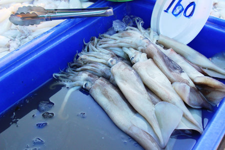 Fresh squid for cooking in the market