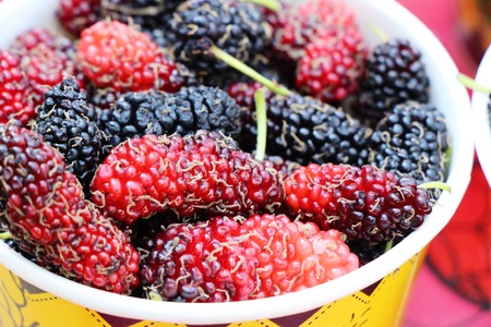 Mulberry organic red and black is tastyの写真素材