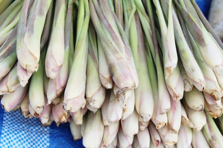Fresh lemon grass for cooking in marketの写真素材