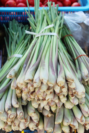 Fresh lemon grass for cooking in market