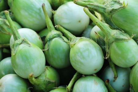 Fresh eggplant green organic in the marketの写真素材