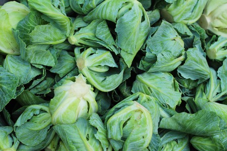 Fresh chinese kale in the marketの写真素材
