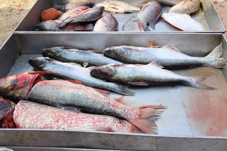 Fresh fish for cooking in the market