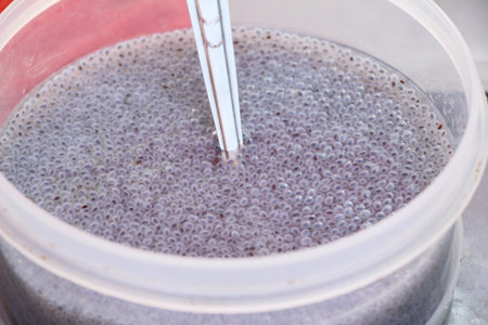 Sweet basil seed delicious at street food