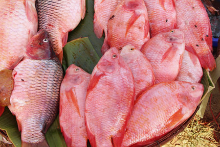 Fresh fish for cooking in the market