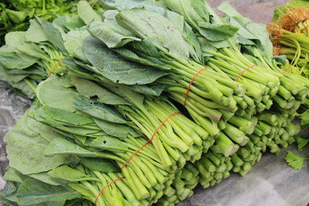 Fresh chinese kale for cooking in marketの写真素材