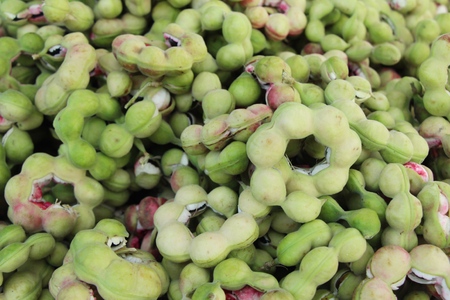 Manila tamarind fruit delicious at street foodの写真素材
