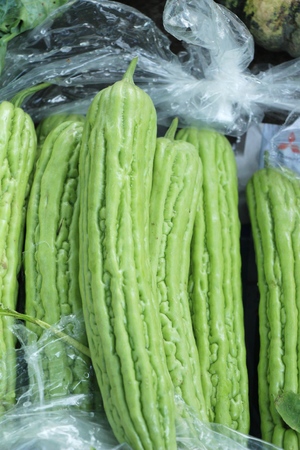 Bitter melon gourd for cooking in marketの写真素材
