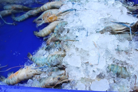 Fresh shrimp for cooking at street foodの写真素材