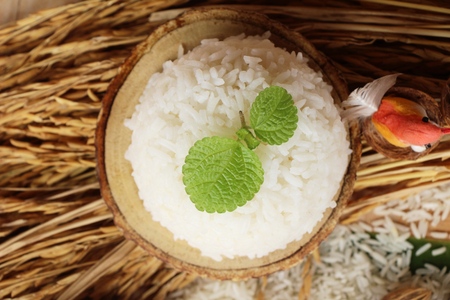 cooked jasmine rice and raw organic riceの写真素材