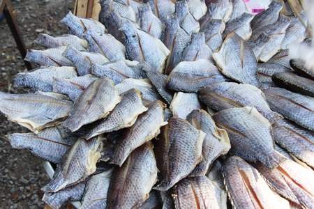 dried fish for cooking at street foodの写真素材