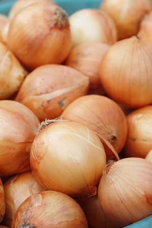 Onions and shallots for cooking at marketの写真素材