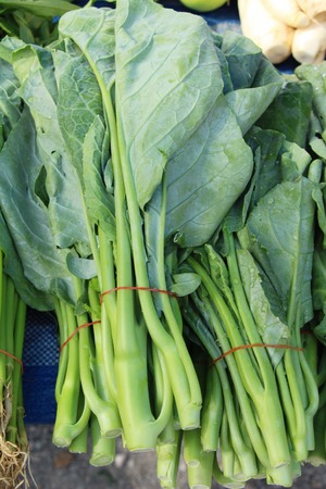 chinese kale for cooking at street foodの写真素材