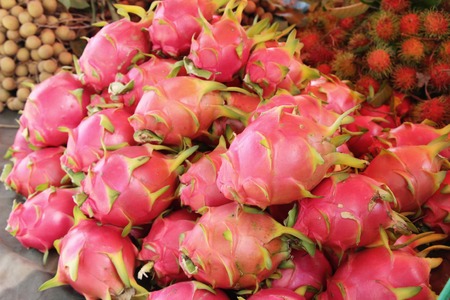 Fresh dragon fruit organic in the marketの写真素材