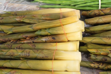 Sweet bamboo shoot for cooking at marketの写真素材
