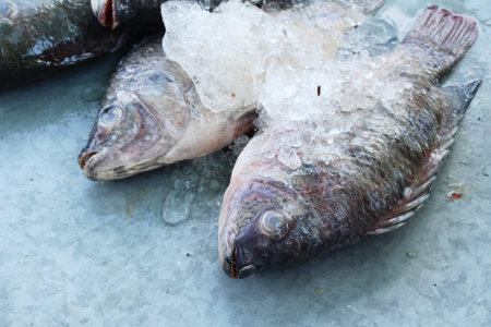 Fresh fish for cooking at street food