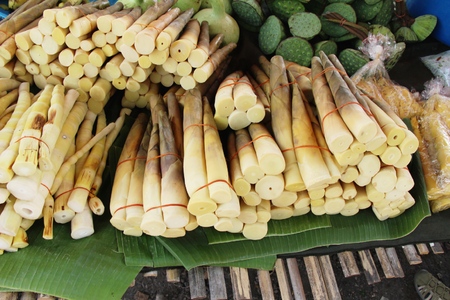 Sweet bamboo shoot for cooking at marketの写真素材