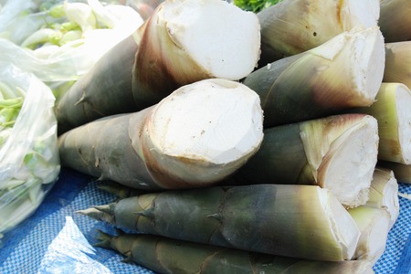 Sweet bamboo shoot for cooking at marketの写真素材