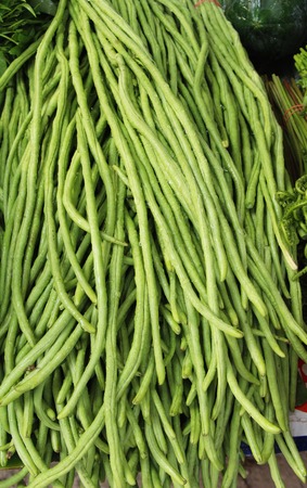 Long bean for cooking at street foodの写真素材