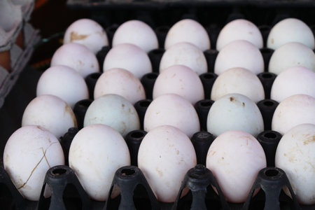 Egg in the panel at the market