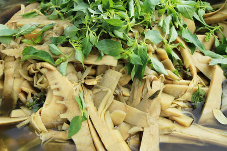 Sweet bamboo shoot to boil at marketの写真素材