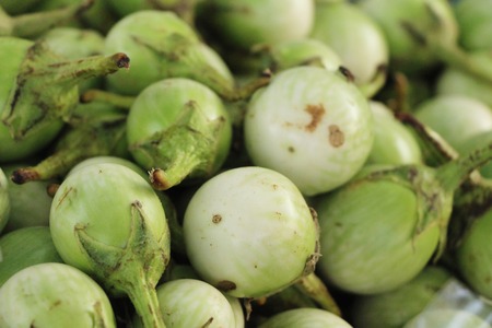 Fresh eggplant green organic at street foodの写真素材
