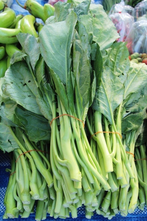 chinese kale for cooking at street foodの写真素材