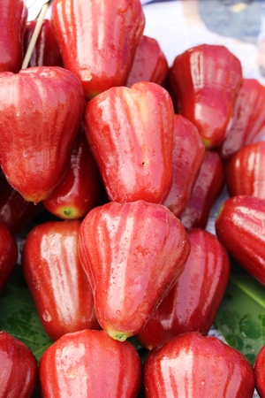 rose apple sweet fruit in the marketの写真素材