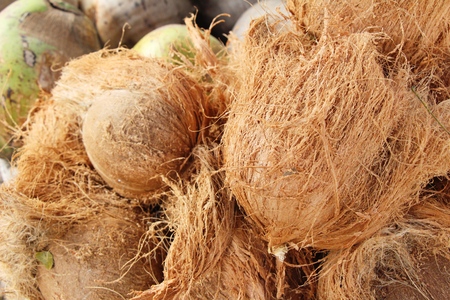 Coconut fruit is delicious at street foodの写真素材