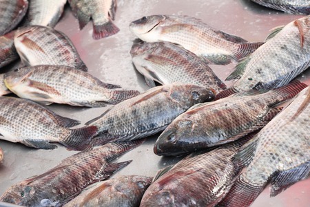 Fresh fish for cooking at street foodの写真素材