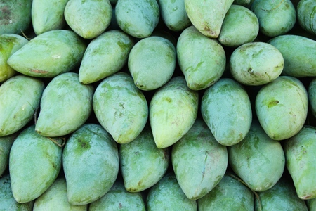 Mango fruit is delicious at street foodの写真素材