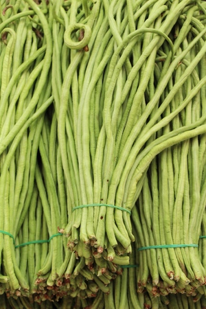 Long bean for cooking at street foodの写真素材
