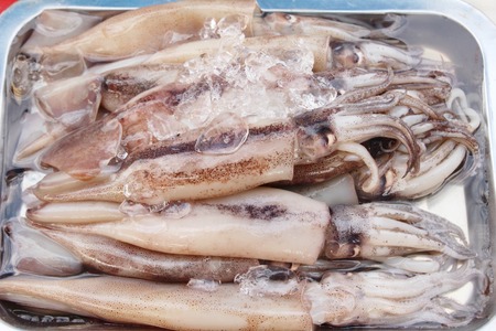 Fresh squid for cooking at street foodの写真素材
