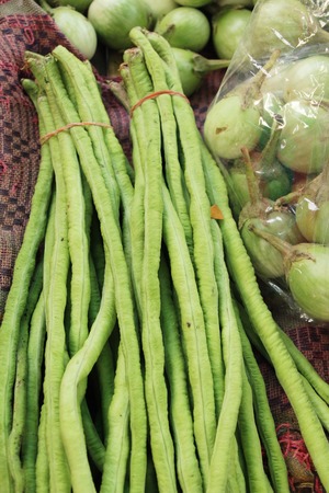 Long bean for cooking at street foodの写真素材