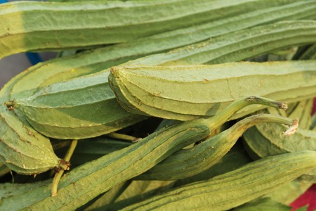 luffa acutangula for cooking at street foodの写真素材
