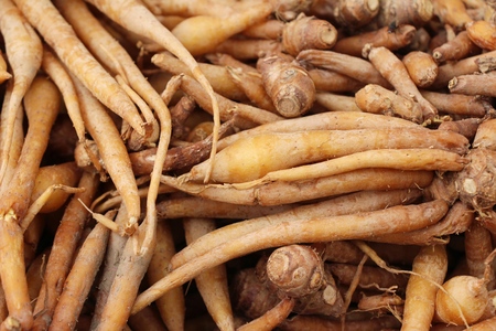 Ginger root for cooking in the marketの写真素材