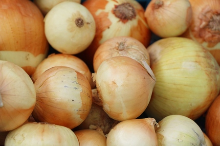 Fresh onion for cooking at street foodの写真素材