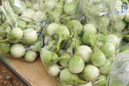 Fresh eggplant green organic at street foodの写真素材