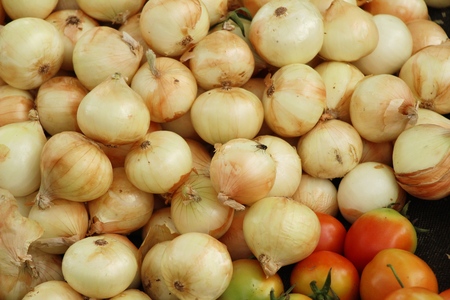 Fresh onion for cooking at street foodの写真素材