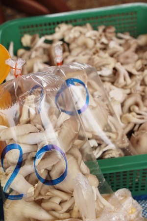 Fresh mushrooms for cooking at street foodの写真素材