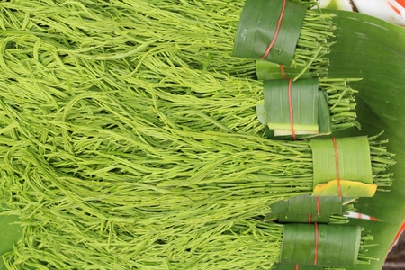 Acacia pennata for cooking at street foodの写真素材