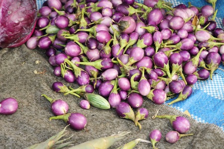 Fresh eggplant purple organic at street foodの写真素材