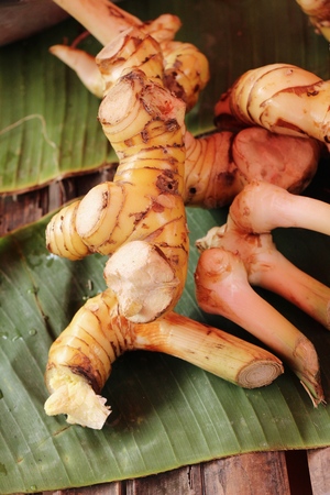 Fresh galangal for cooking in the marketの写真素材