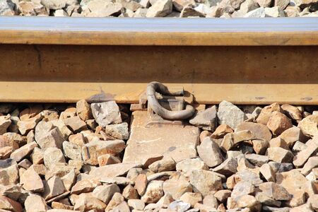 Old railroad tracks vintage style for trainsの写真素材