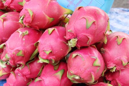 Fresh dragon fruit organic in the marketの写真素材