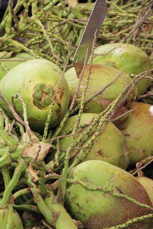 Coconut fruit is delicious at street foodの写真素材