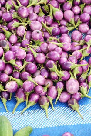 Fresh eggplant purple organic in the marketの写真素材