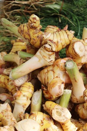 Fresh galangal for cooking in the marketの写真素材